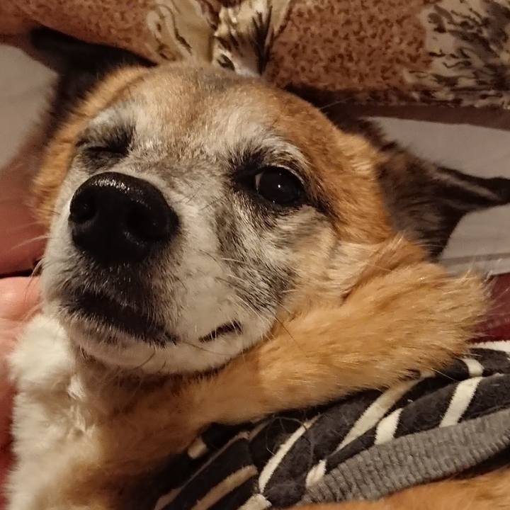 B4e701d7 5ff6 40ae 84a4 13309f5d4f07 1520263492272