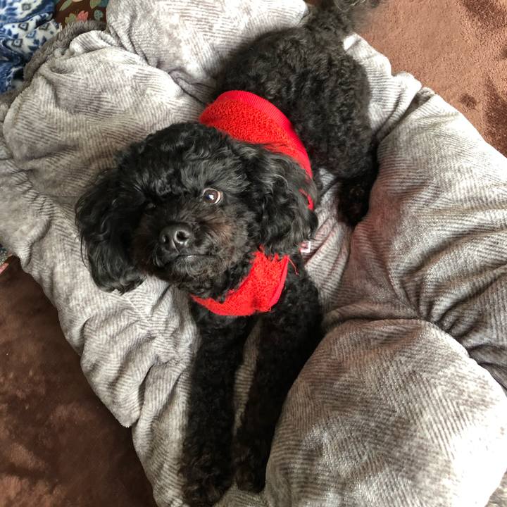 B4e71025 4f5c 4071 8090 c713f100bd6d 1551531920407