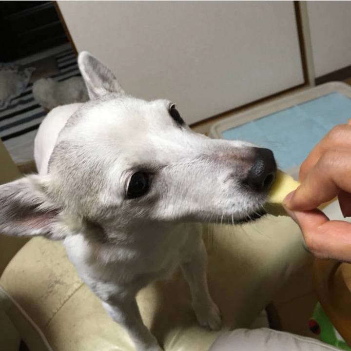 B4e71cd7 44d5 4e20 9160 b071b8f60e29 1765064018640