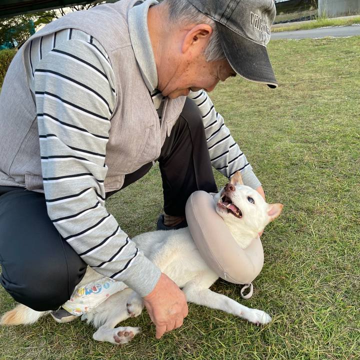 B4e7300e 01fb 4e5e 85a9 1db0393d5fe4 1667385541457