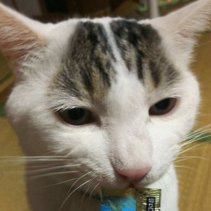 B4e73957 f344 4f5e 8a04 0ff2068c9ca7 1537495217967