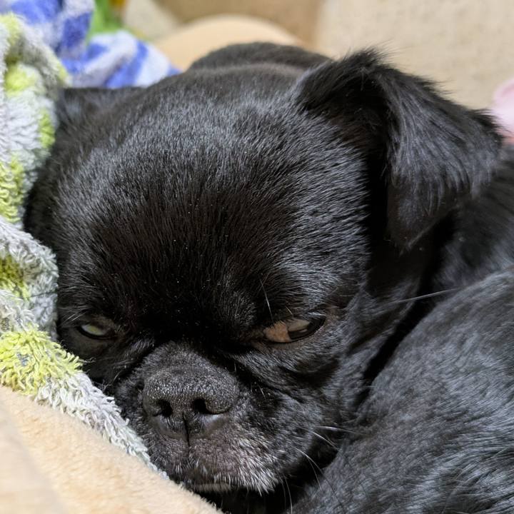 B4e75676 afeb 477f b904 c9edab93c56f 1770555265580