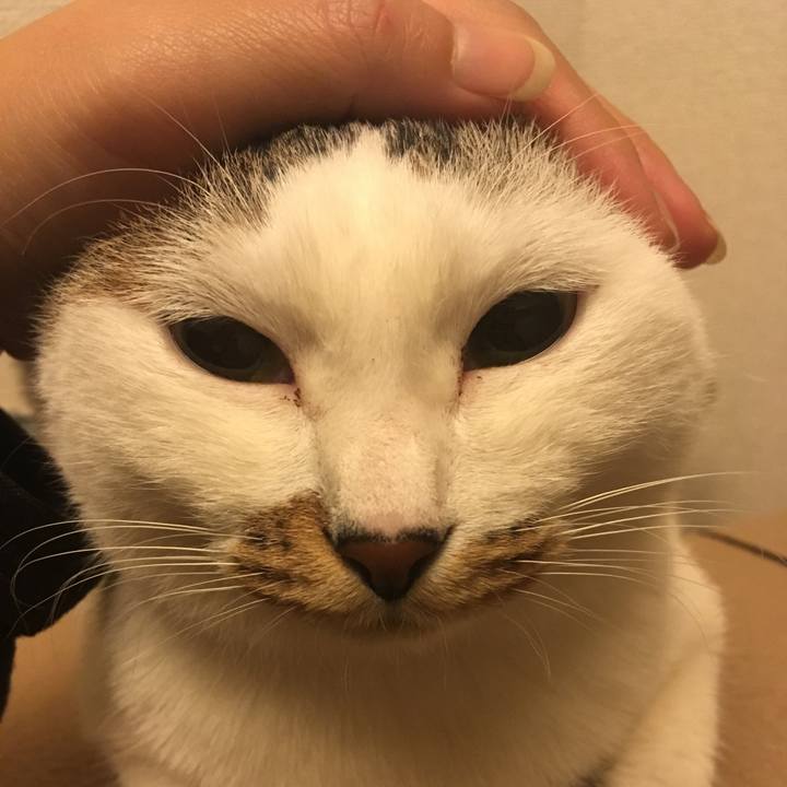 B4e7b4c1 6c4f 482e b424 12c6eea3e0a7 1518662312214