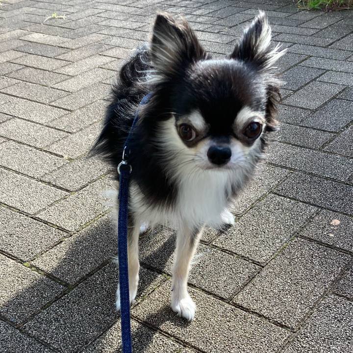 B4e7e6a7 7590 4477 b22f 730c8b90c724 1663411114514