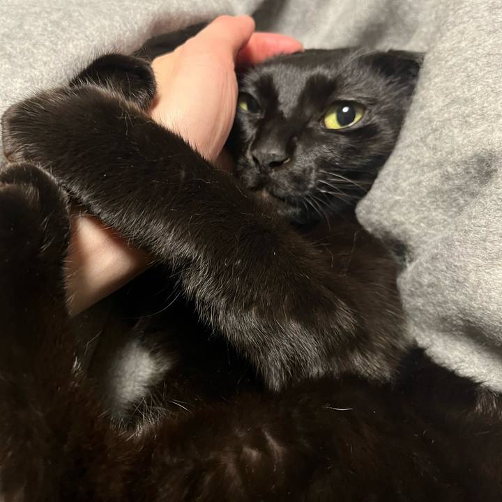 B4e8579e 4997 4746 abf8 cdf68b0c3274 1734007735716