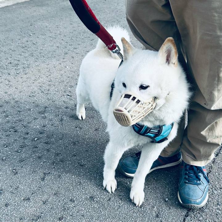 B4e858dc cd7f 44f9 a5c8 df3564560bde 1684792092322