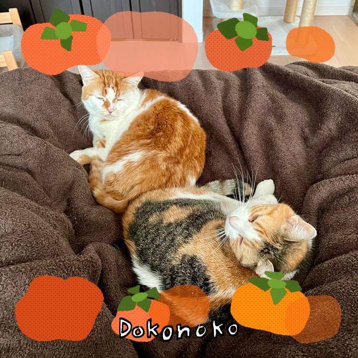 B4e86b0c b5c2 46f9 8cc2 19aa5ac0242d 1761967870847