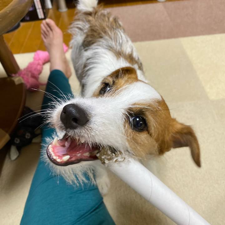 B4e87210 5562 41bb 9179 11af0a34dae4 1661601642692