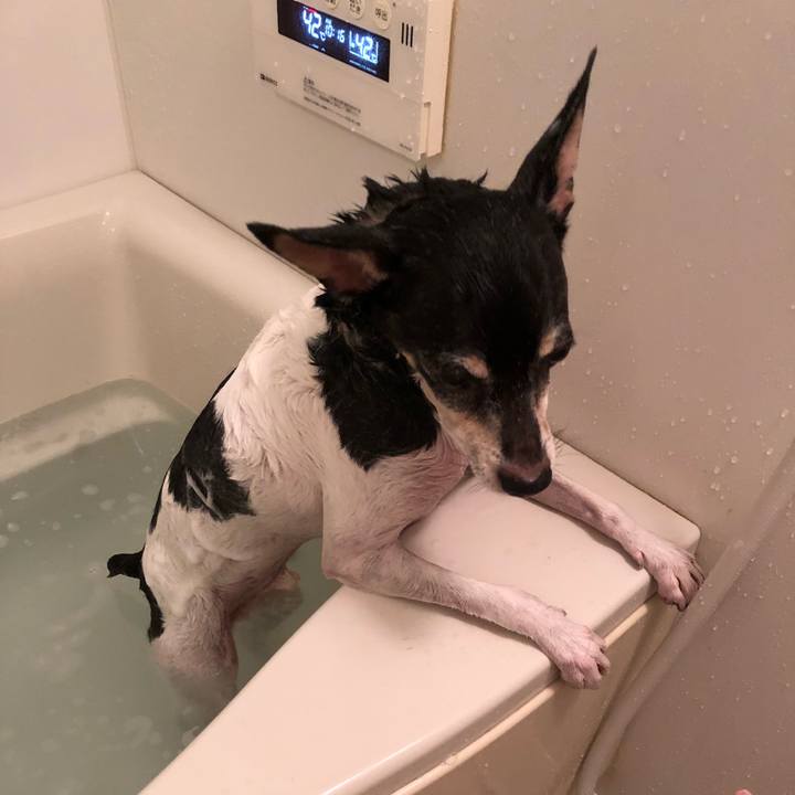 B4e8a3e8 2aa9 42ba 9440 f4cded3dd85a 1537754202176