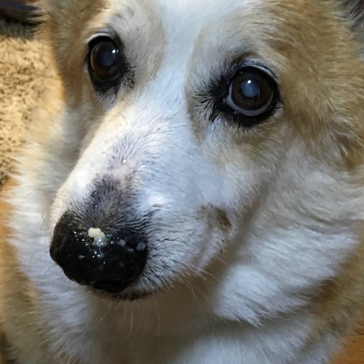 B4e8bff3 222d 4e6e b457 58e089cf45df 1528276348094