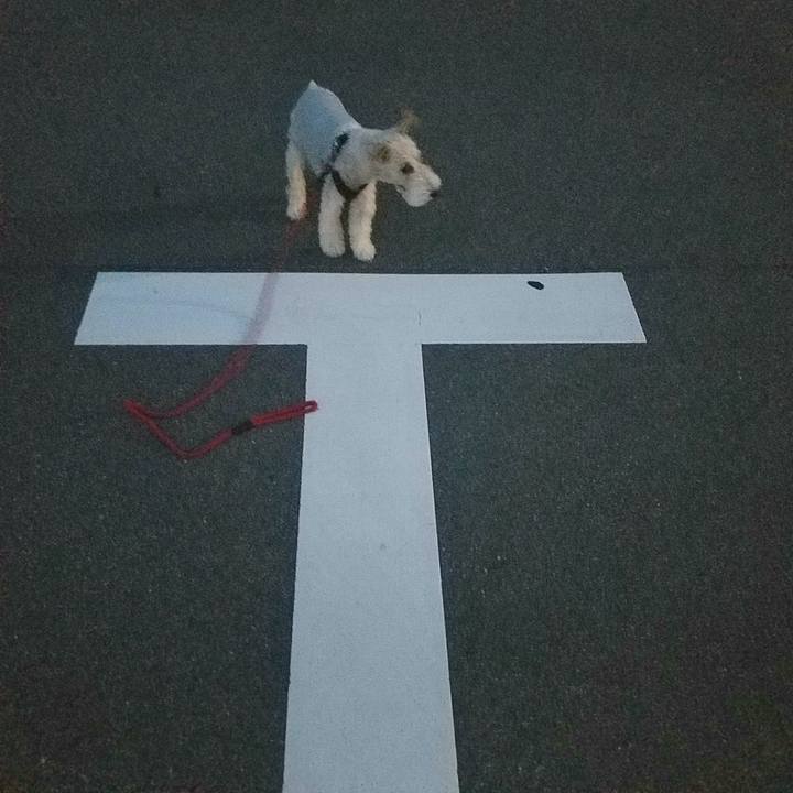 B4e8cc57 cec9 4da8 993a 8df160b70280 1593006222133