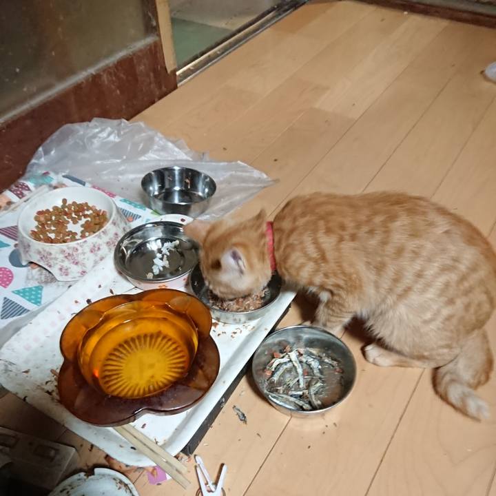 B4e8dd19 c1a1 4050 9952 9ccf631be5b9 1633858910837