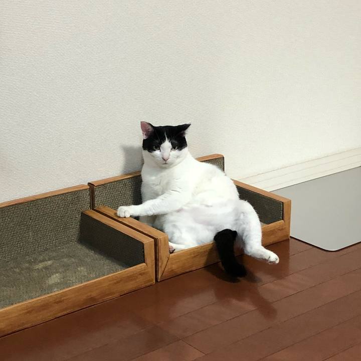 B4e8f25d 67d4 4099 805c d0a185a941ce 1530663631896