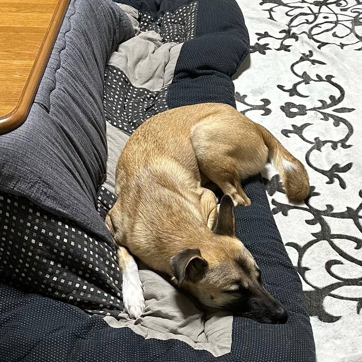 B4e9510e c1b7 40d2 b074 a96e1354bd4e 1730283031219