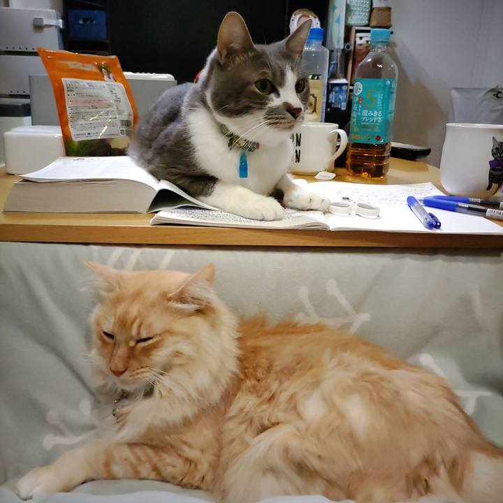 B4e99ee8 e6d9 4516 b594 f85b929b1909 1703408354455