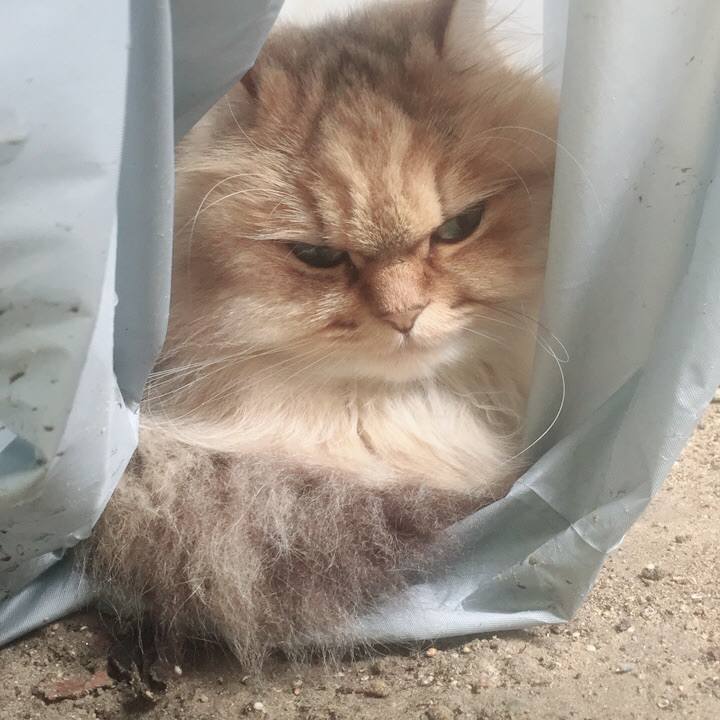 B4e9a74b 1e0d 4f53 98fb 1ddfebb690fc 1527320872692