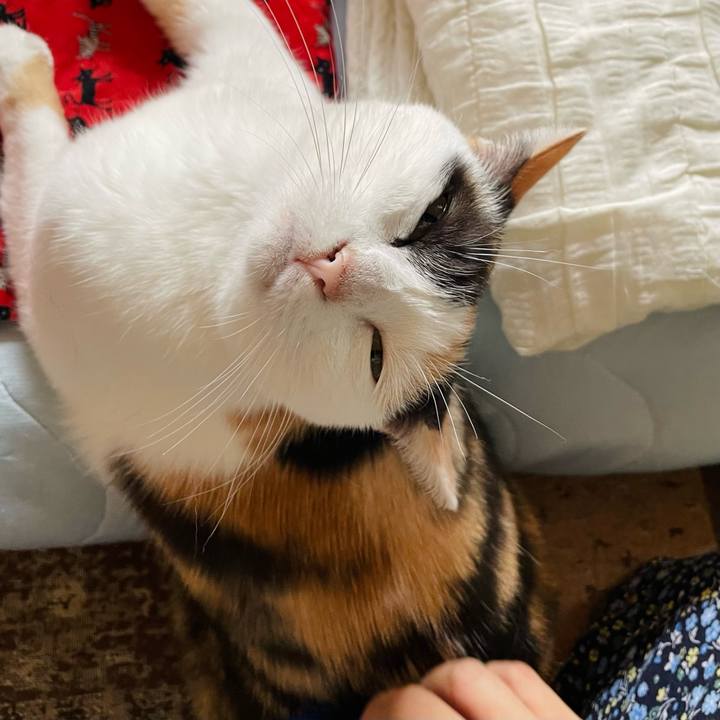 B4e9aa53 3c05 4895 8211 726f5db6901c 1663474351481