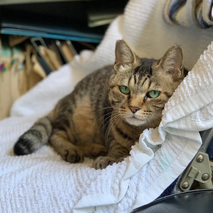 B4e9d0fb 7405 4917 bdd7 d8e9af6500f3 1558668100264