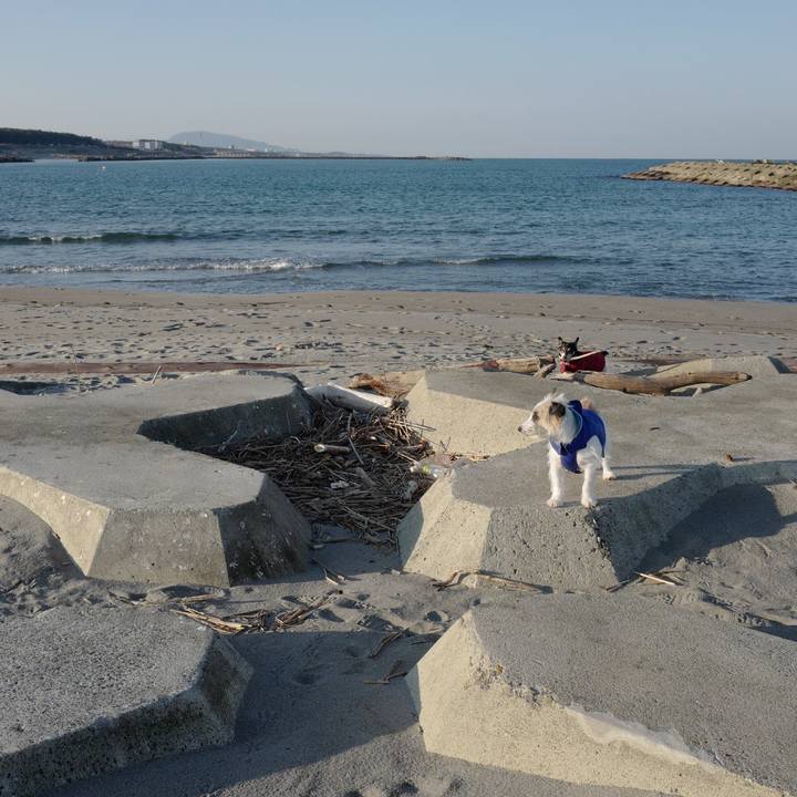 B4ea0f0b 40b3 430a a07c 7ebd9964dbe7 1576035448125