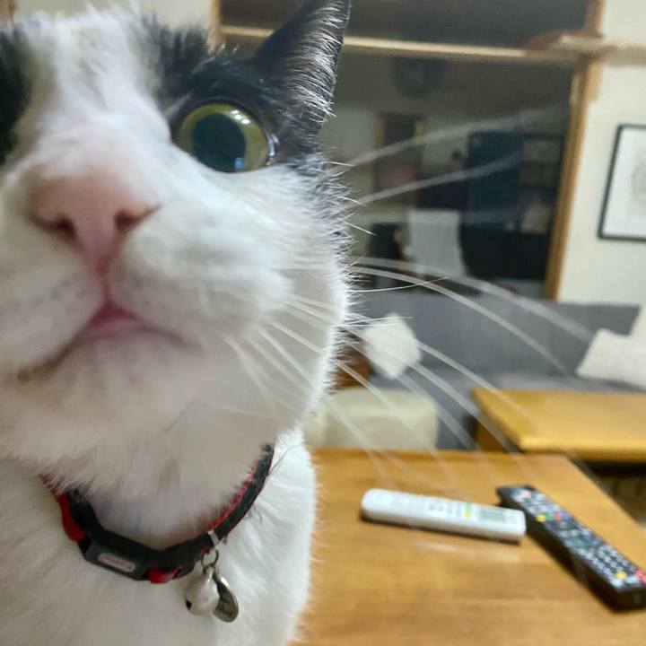 B4ea2cae e193 4db1 9541 f8c40ca7cd6d 1731760779933