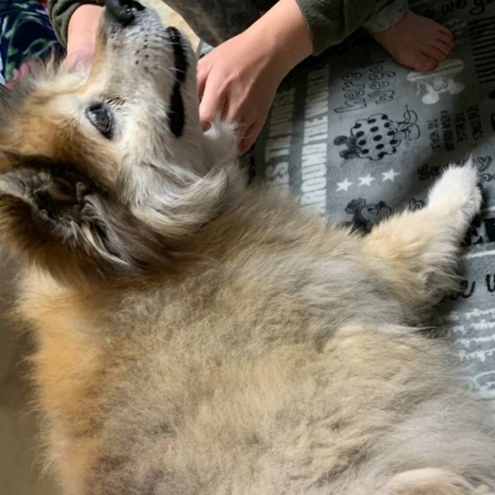 B4ea4dd6 b0e4 45b5 8401 54da746cd19d 1592821816996