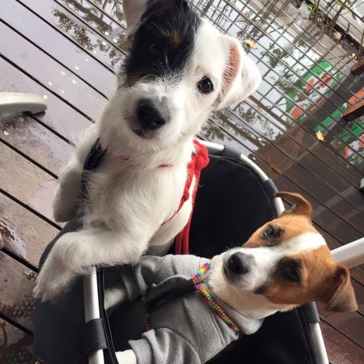 B4ea59a8 3b68 42d4 92d1 cc00e21483af 1617588040439