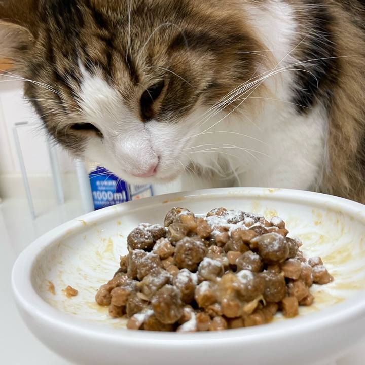 B4ead8f7 ea40 4d4c 9fe6 e9597d5434a5 1654981171574