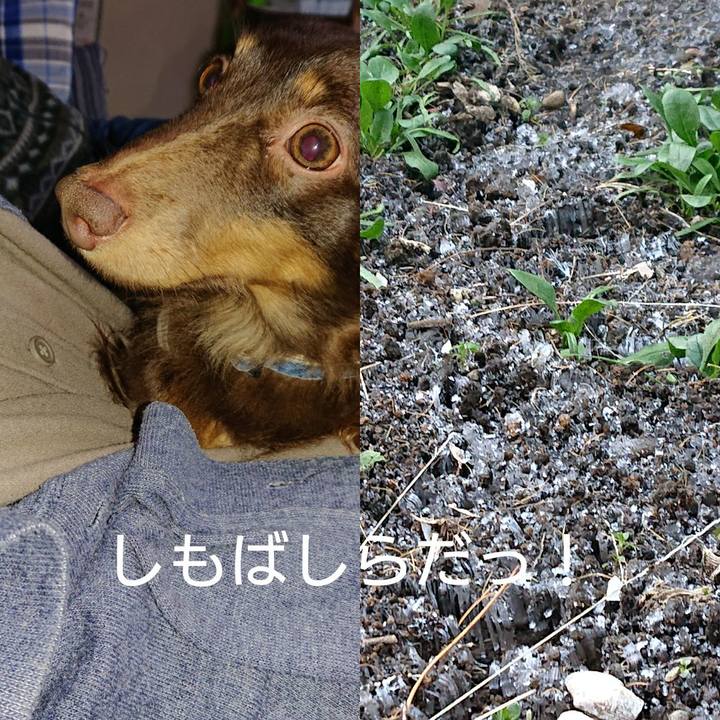 B4ead9d1 14f1 4886 9c78 b33bc3d9ed5f 1640032172775