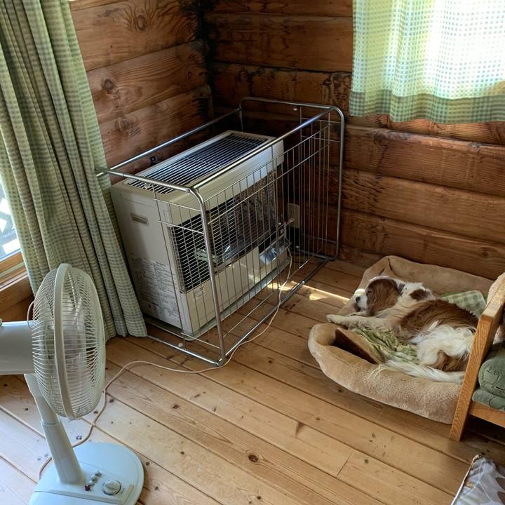 B4eae025 701e 4003 b559 28a95a3e82d8 1592194070270