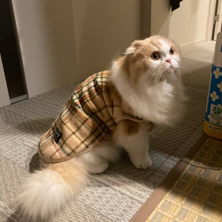 B4eb29ff 8eac 4d0b b0f9 bef7c52d63ab 1706962564800