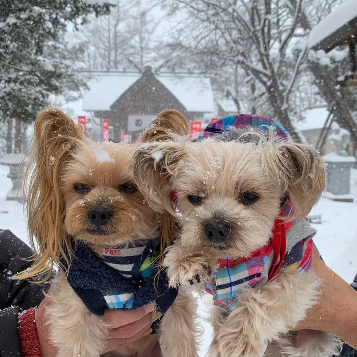 B4ebd112 cf87 46b1 91e9 dc8a64a73139 1577865804229