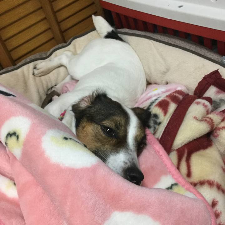 B4ebe2ee 8c73 4d06 b827 8fa181c8bfa0 1516194833201