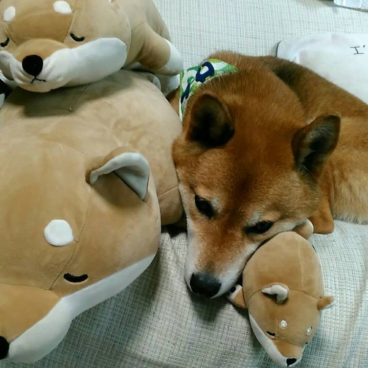 B4ebf476 3ec1 4a95 b1fa c65a1547da89 1559890874916