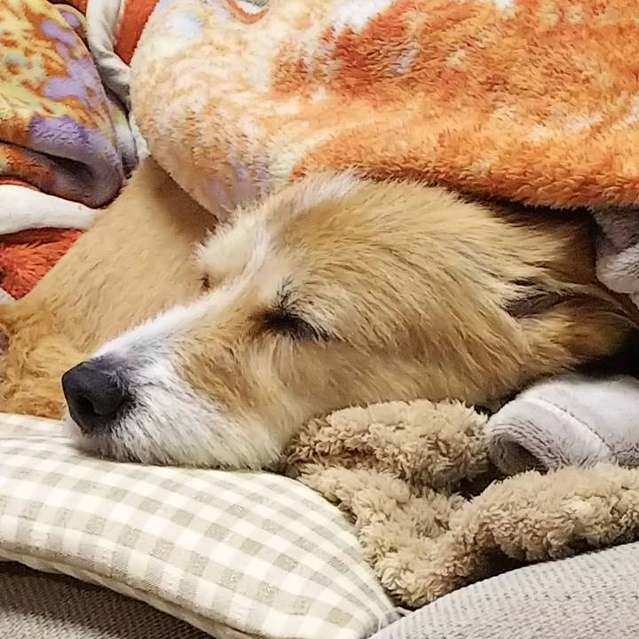 B4ec05cb 48f3 4d39 8fb2 772130c490ee 1527293884771