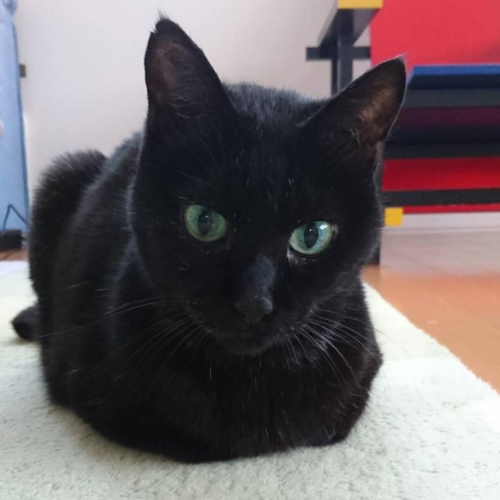 B4ec100d 1a95 454a b15d 313f7eaadfc9 1538564927372