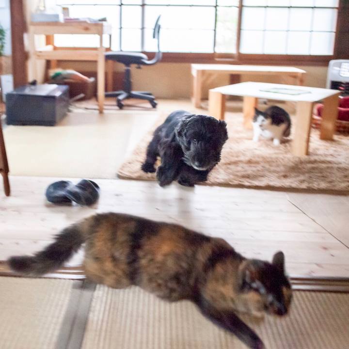 B4ec1efb 32c3 4e65 a969 fbd5928ed693 1605165198146