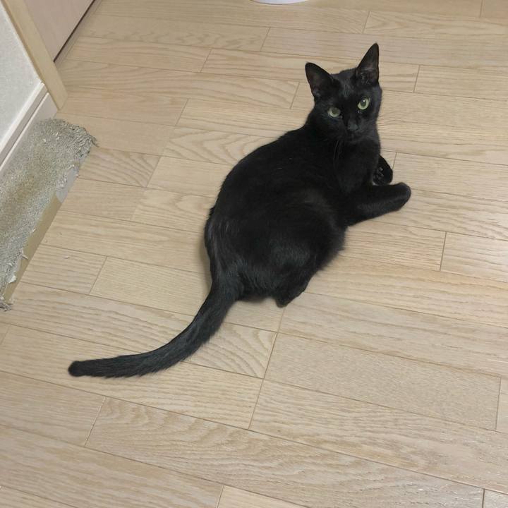 B4ec34b2 9346 4657 a20c 7aeccbfedc0e 1625749162809