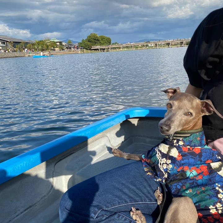 B4ec3edf e03e 4dfe 8f9c d1d1c932e4a7 1759363139871