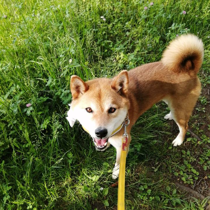 B4ec511a cceb 4d26 b407 4a7aceb96442 1589443051422