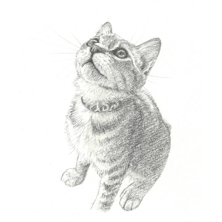 B4ec586f 3e84 420b a907 ab0b6c48459a 1559914481017