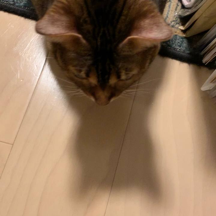 B4ec88d4 b174 433a ad58 dd43289c6743 1611271114341