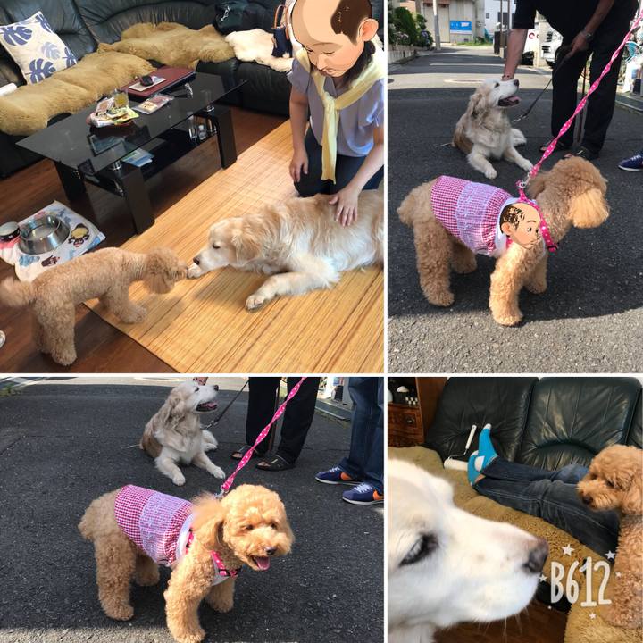 B4ec8ea2 7497 4ab1 ae2c 1be2213c0051 1529842607438