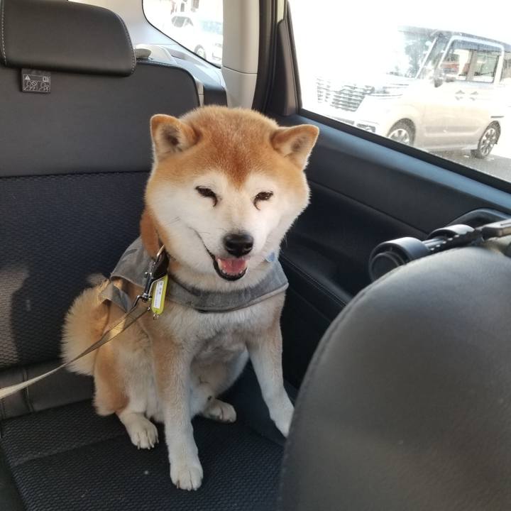 B4eca71b ff68 4793 8781 26ff68ccba0b 1650174003388