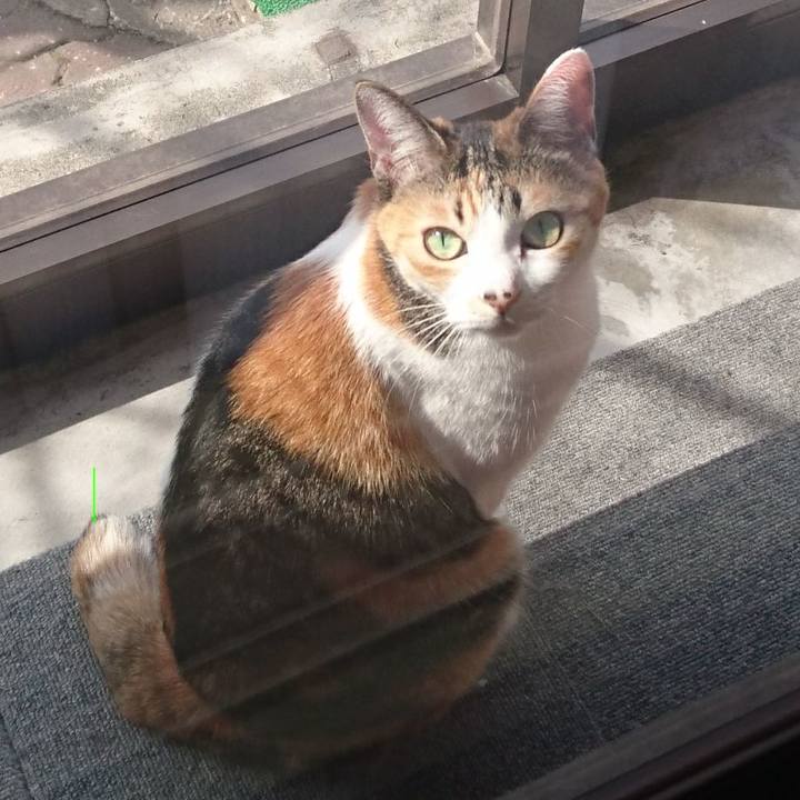 B4ecac48 c8c6 48d1 aaa5 73ebc1c613c3 1525152736433