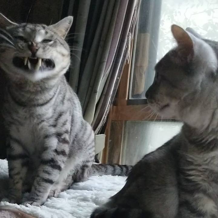 B4ecae8f 4b2c 4348 bfc9 0341c0195814 1689577920841