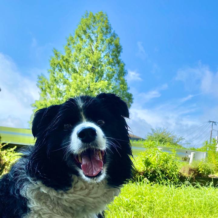 B4ecb038 eb7a 4e73 9a18 13ed8e8deed7 1594168987899