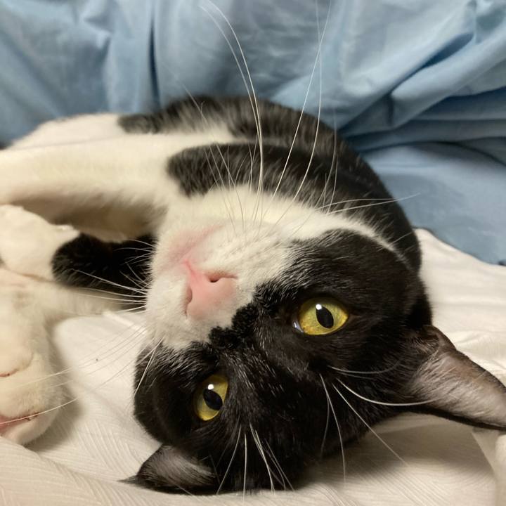 B4ecef12 d49e 4911 9a94 fcf0e0751627 1619314337810