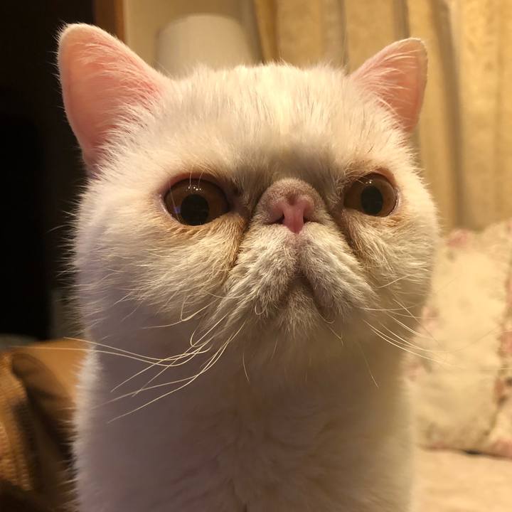 B4ecef56 e3ac 44af 906e 3074990a16d3 1652965726420