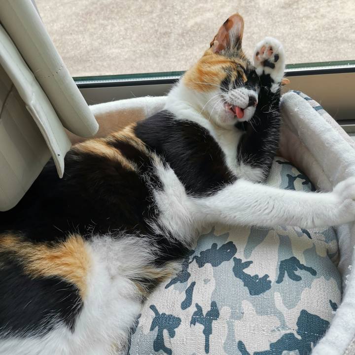 B4ed2362 a47a 4ead 8676 fda181b01047 1623832212435