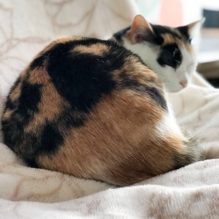 B4ed23e8 4f1a 459f 8391 eb817bd5dcb1 1520412354073